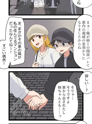 複雑な姉弟～金if～