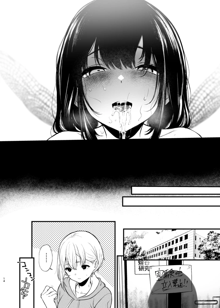 14ページ目
