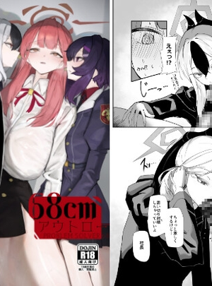 (網状意識)68cm アウトロー