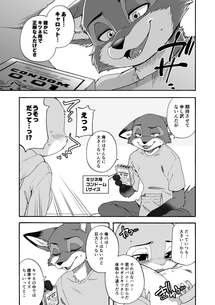 12ページ目