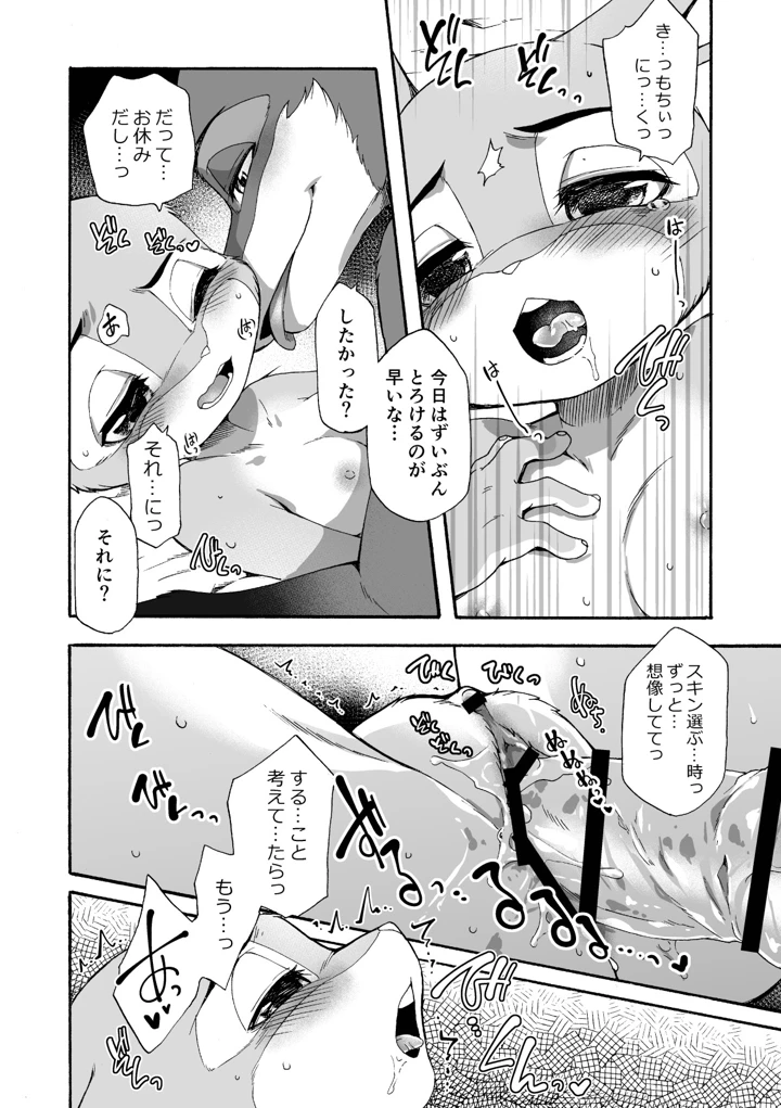 17ページ目