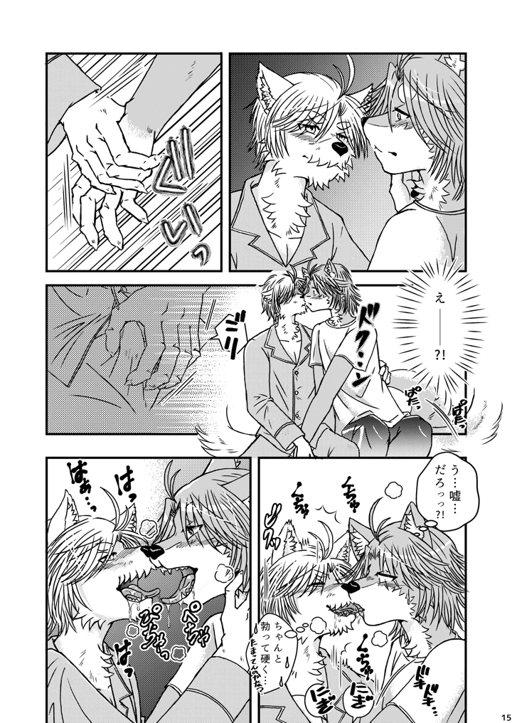 14ページ目