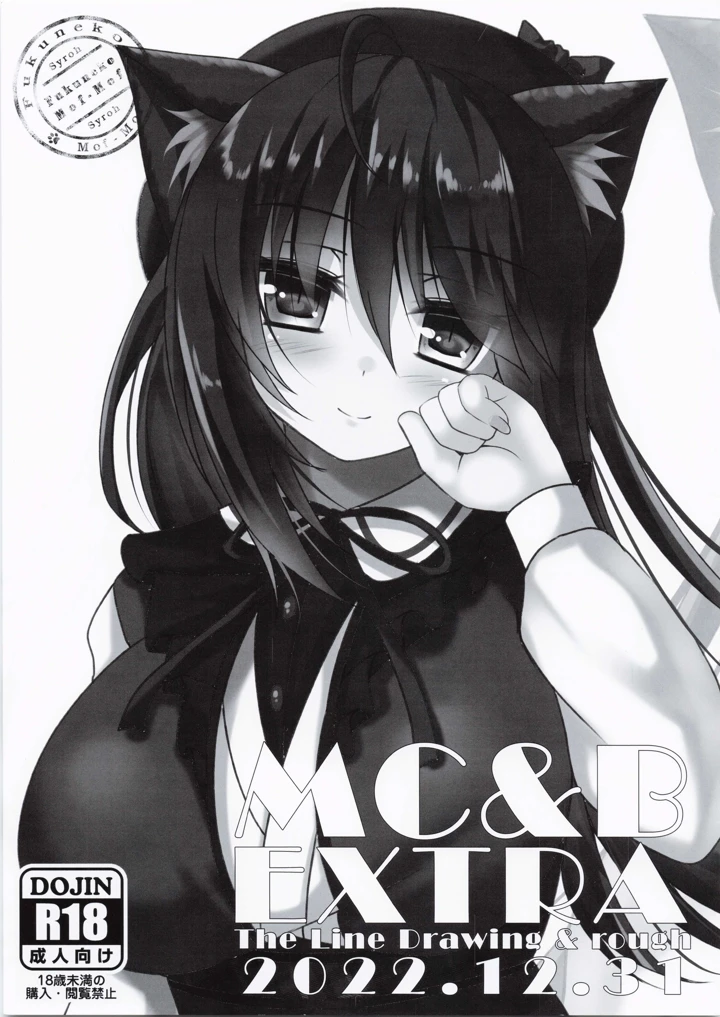 14ページ目