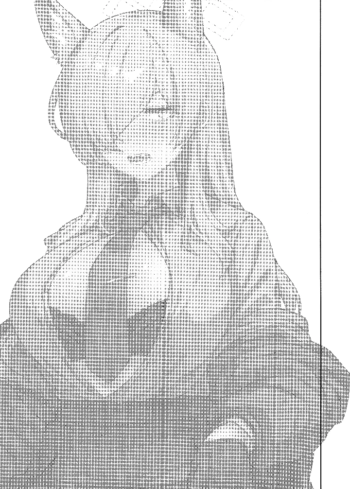 2ページ目