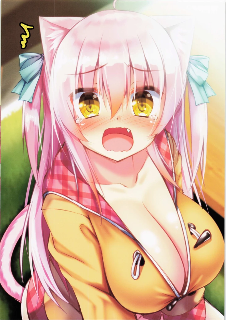 12ページ目