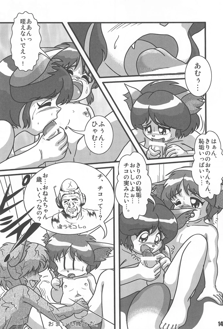 14ページ目