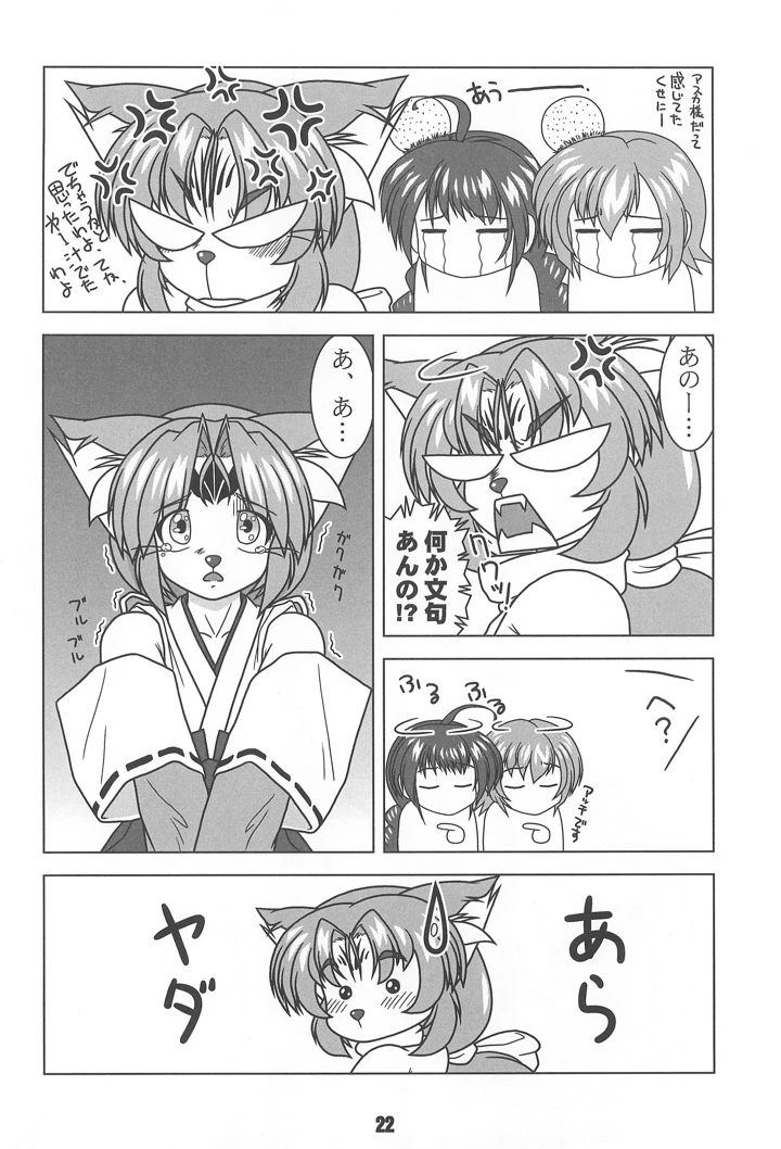 22ページ目