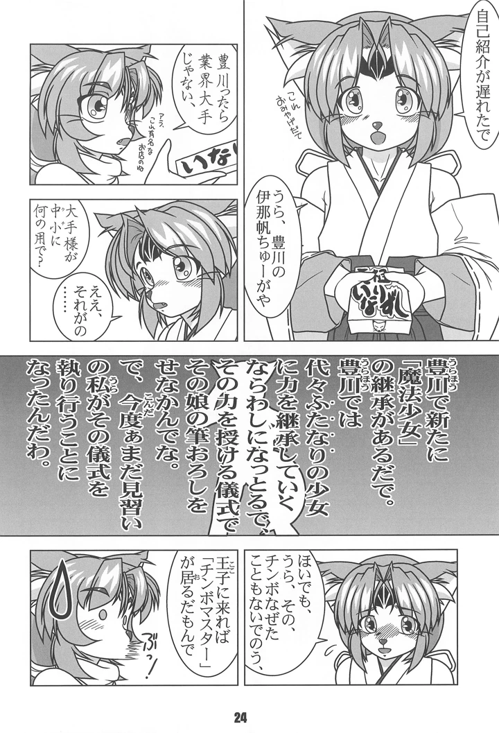 24ページ目