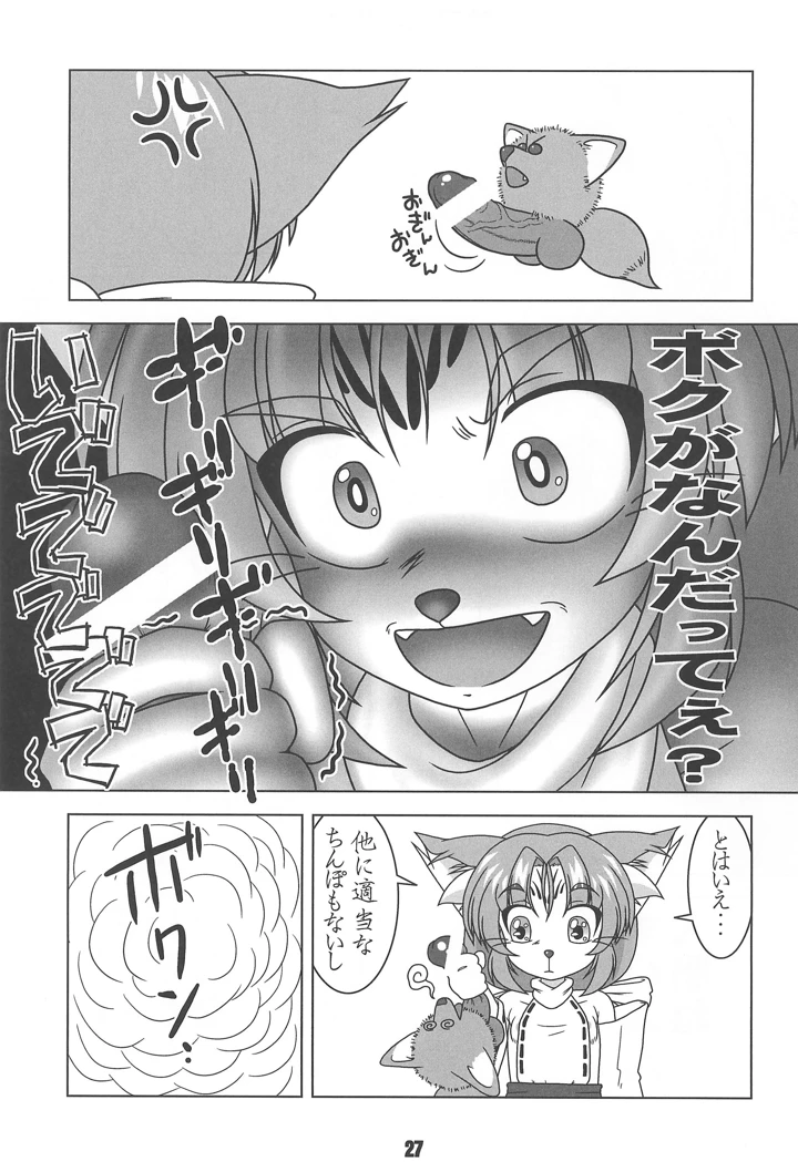 27ページ目