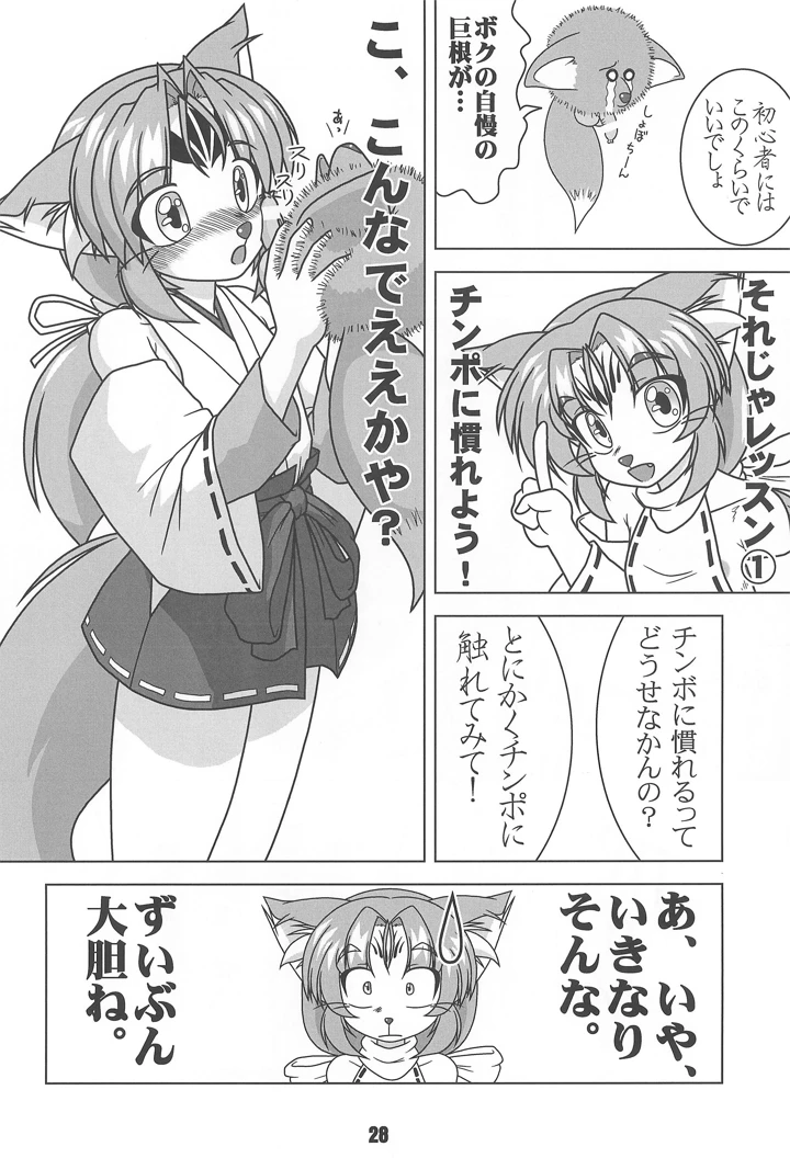 28ページ目