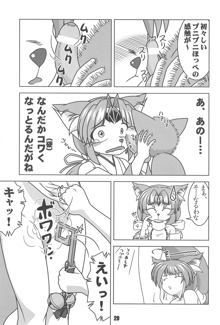 29ページ目