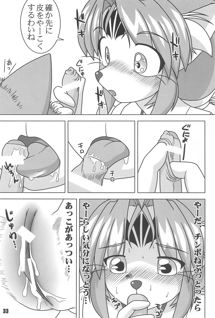33ページ目