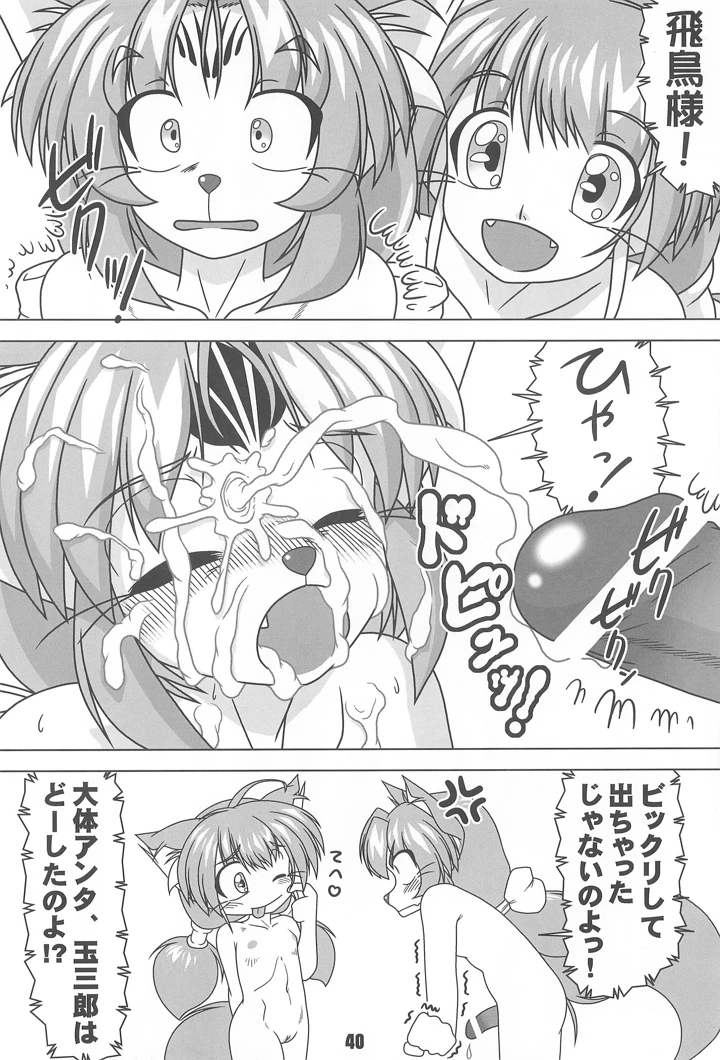 40ページ目