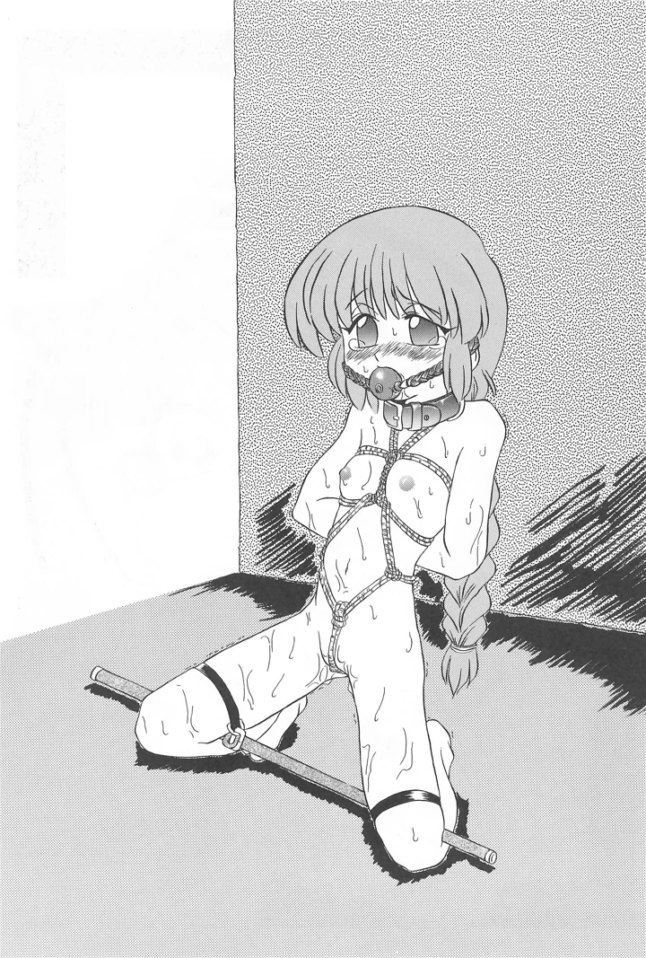 29ページ目