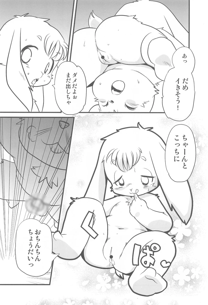 14ページ目