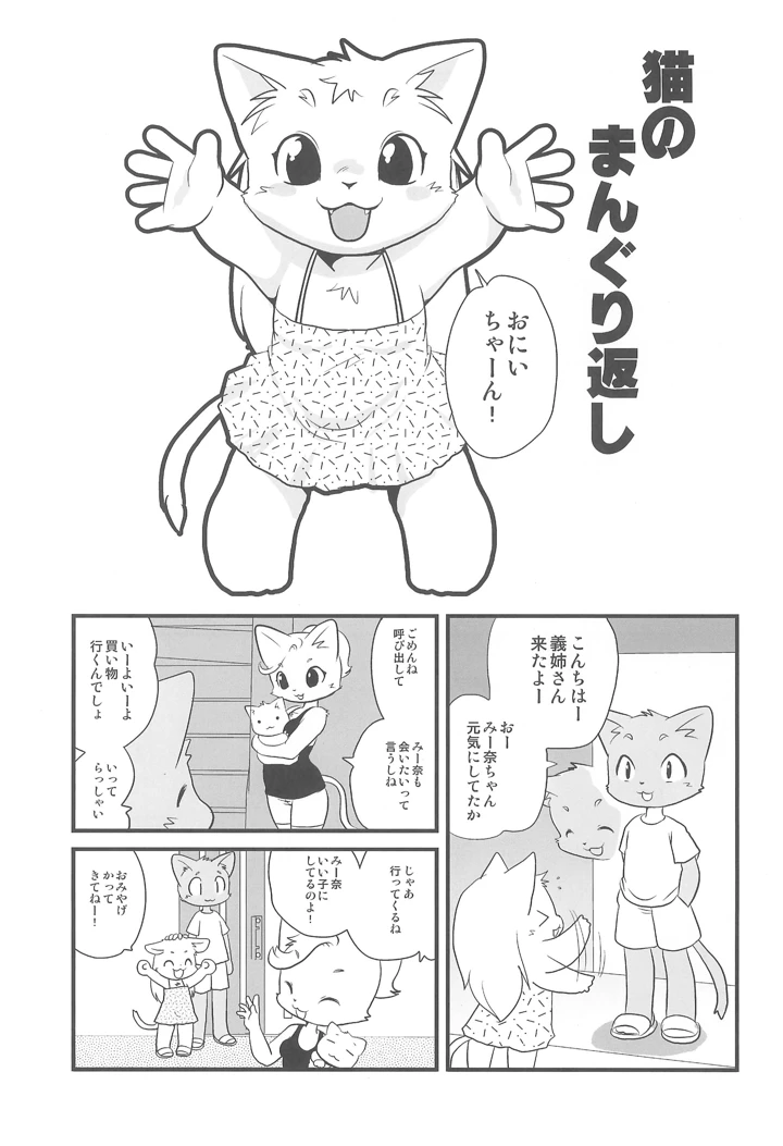 17ページ目