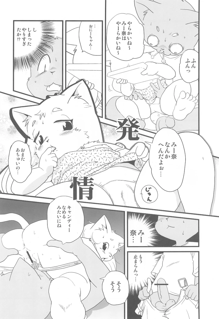 20ページ目