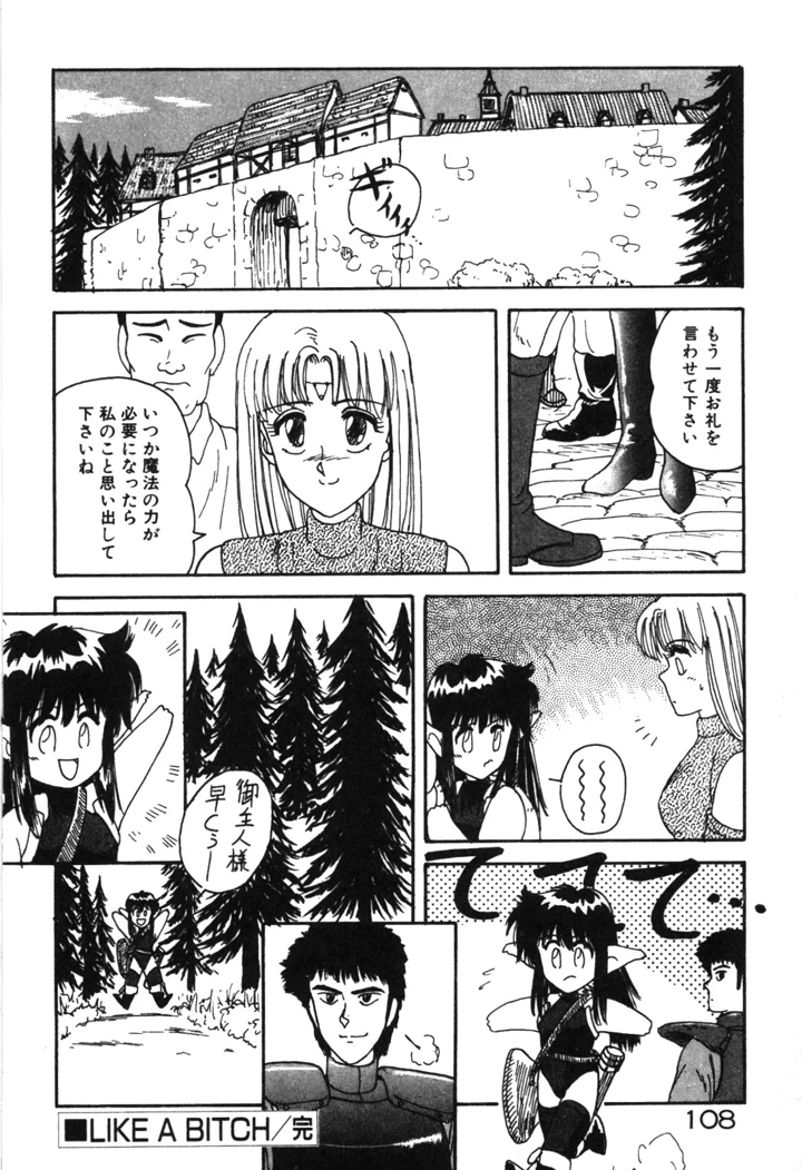 111ページ目