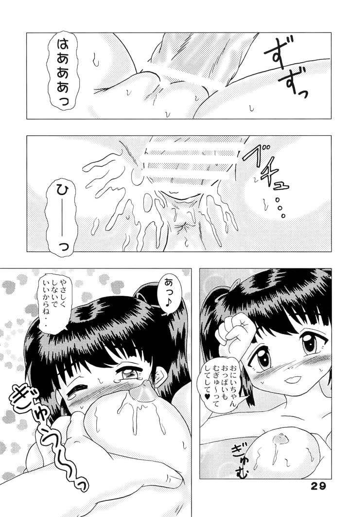 29ページ目