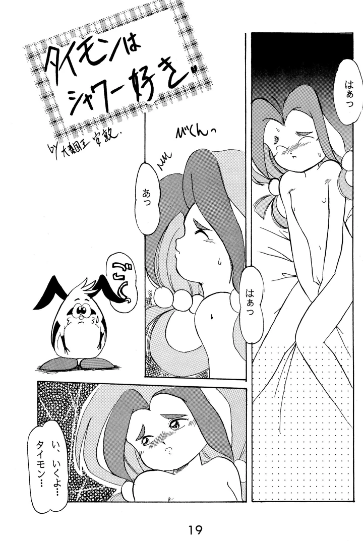 19ページ目