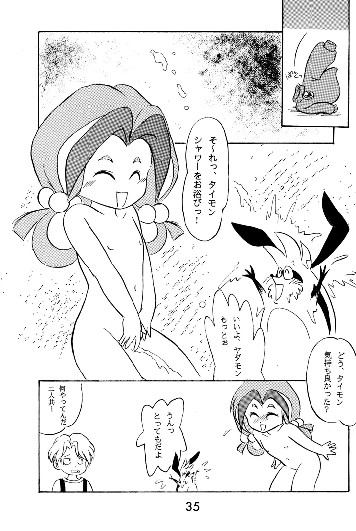 35ページ目