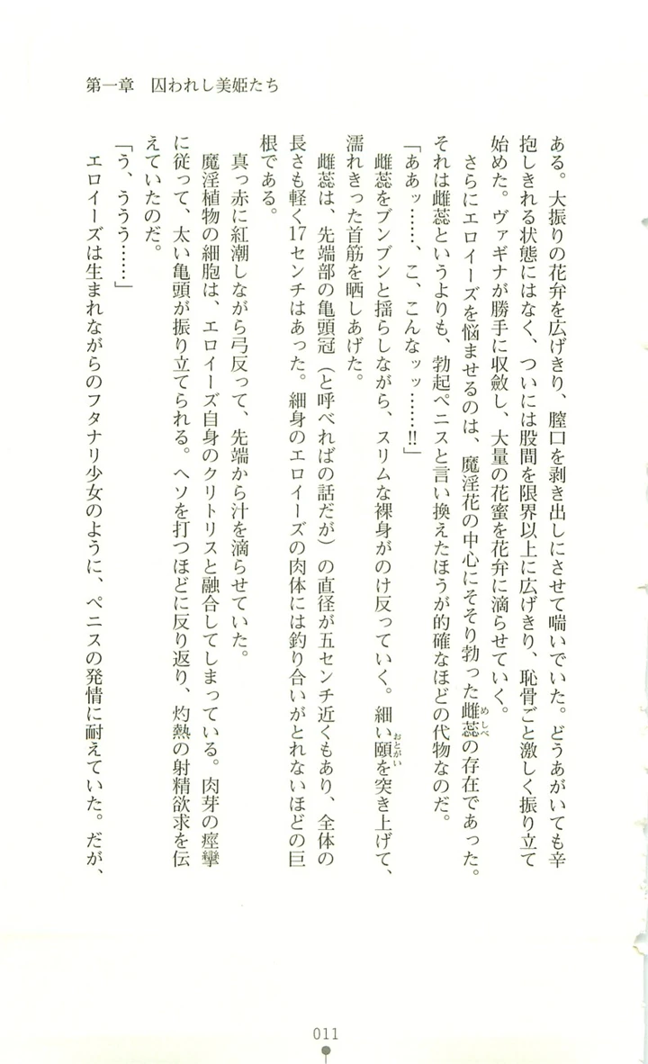 12ページ目