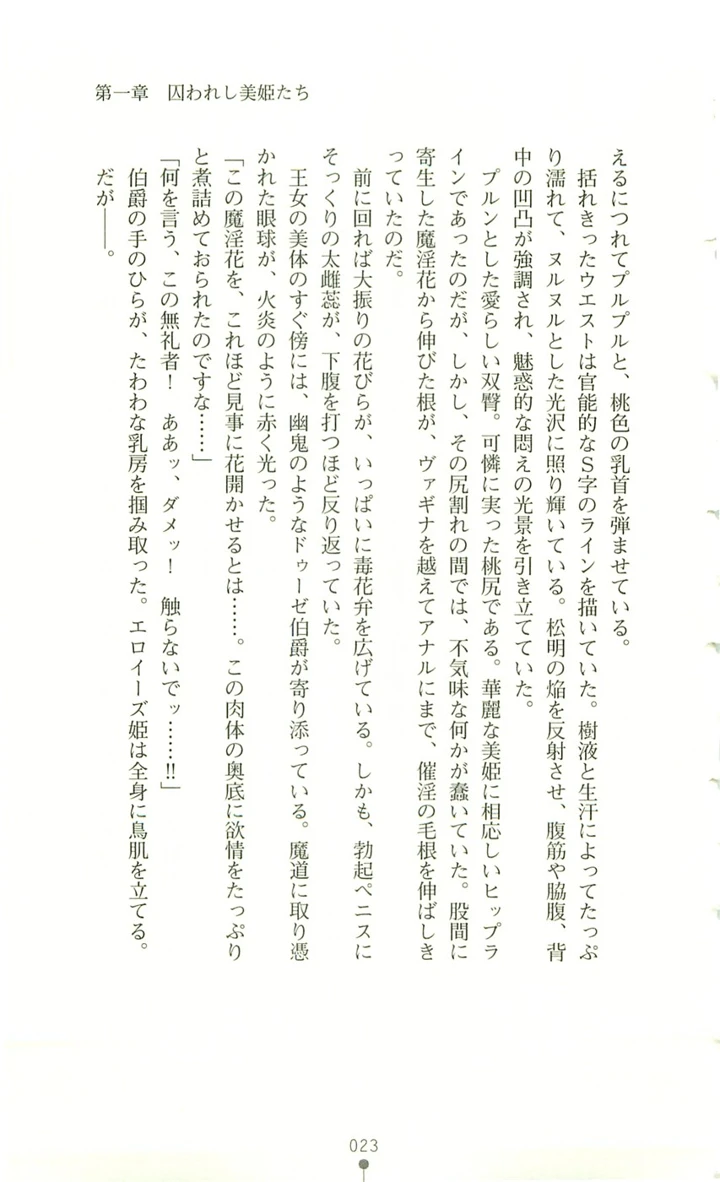 24ページ目
