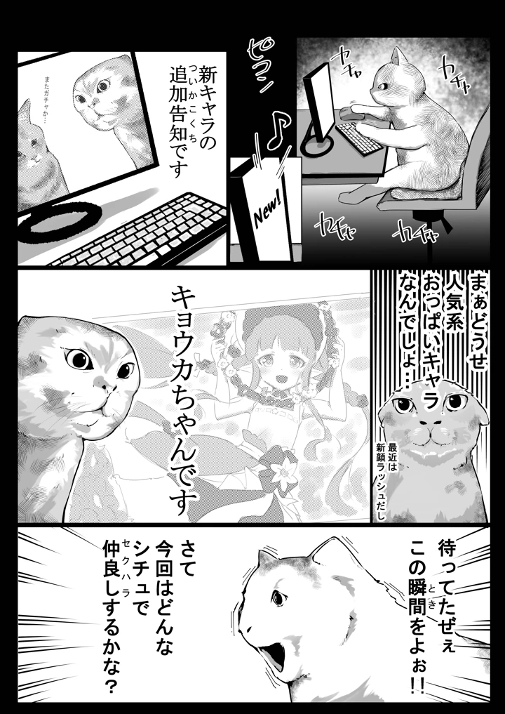 24ページ目