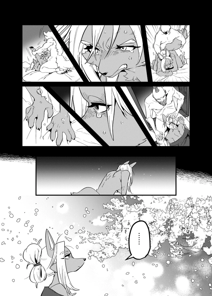 15ページ目