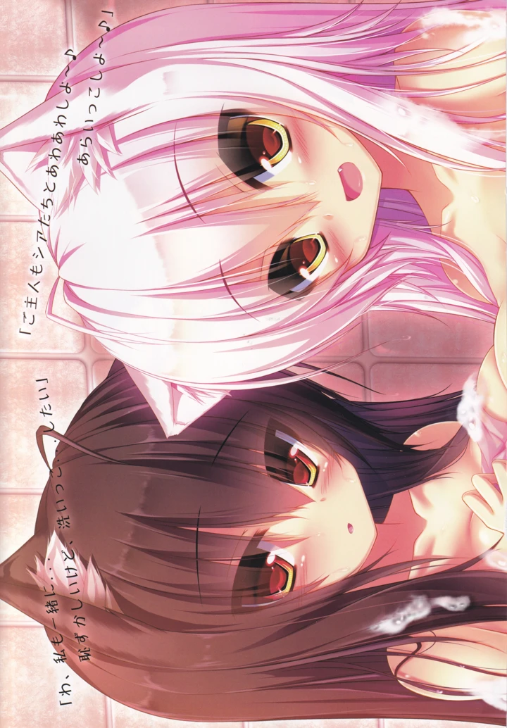 4ページ目