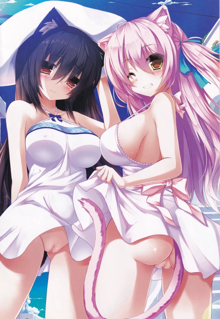 3ページ目