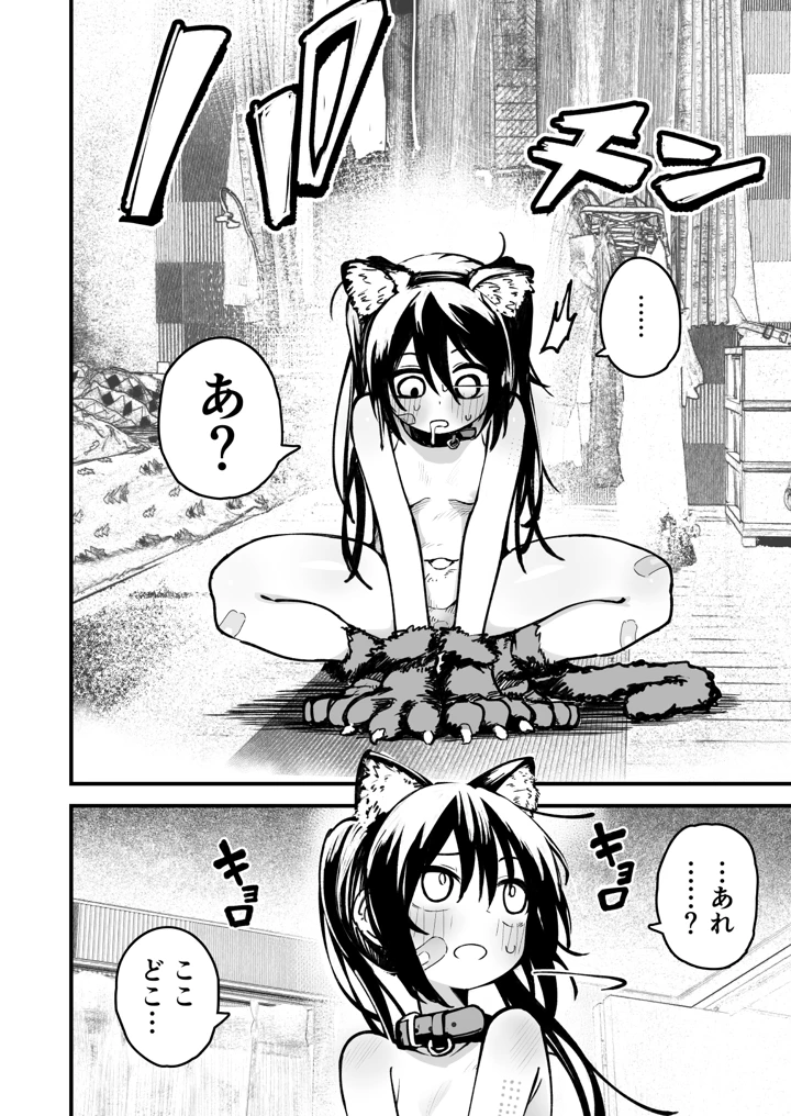 50ページ目