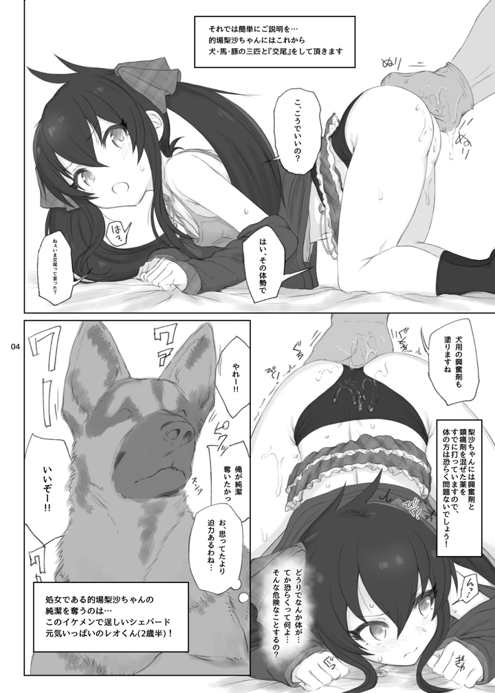 3ページ目