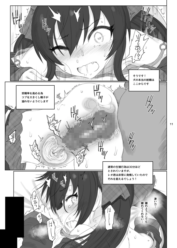 10ページ目