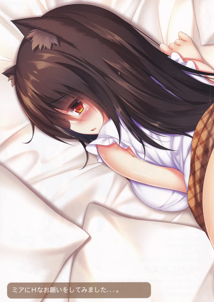 13ページ目