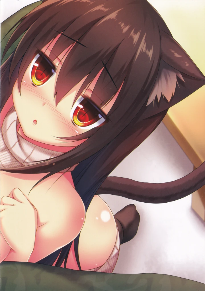 14ページ目