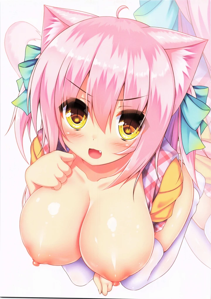 15ページ目