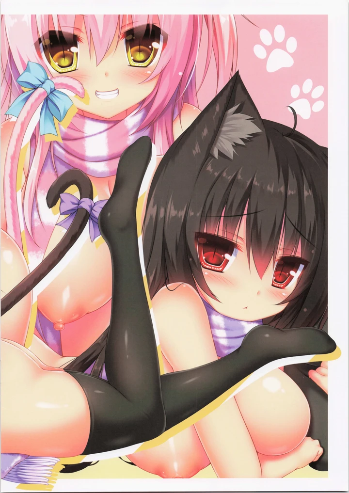 14ページ目