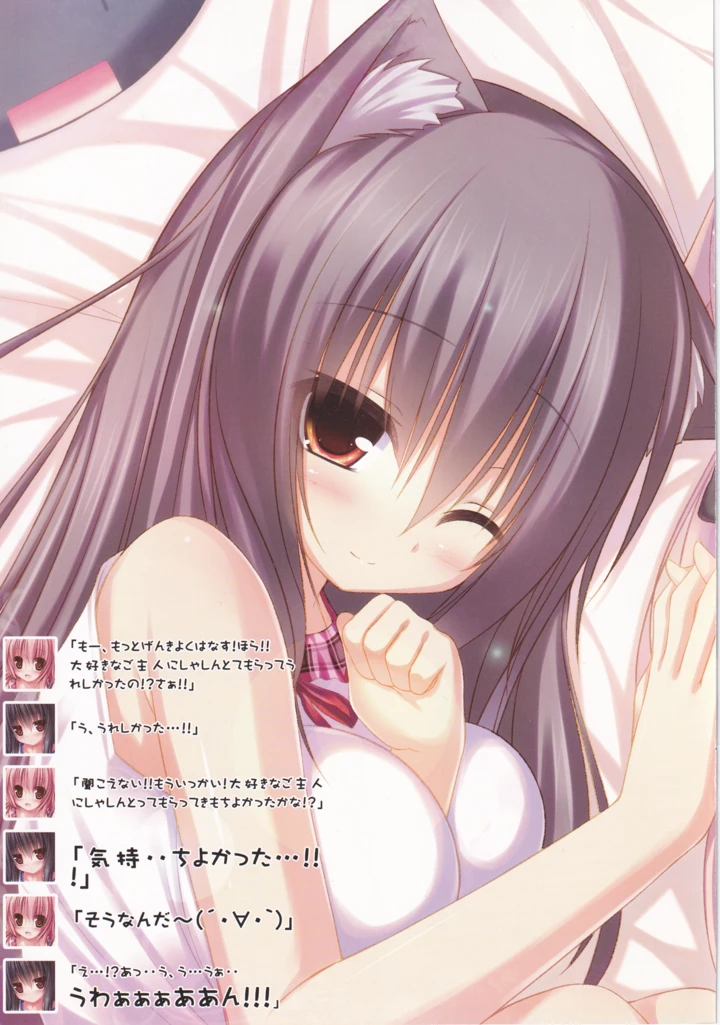 12ページ目