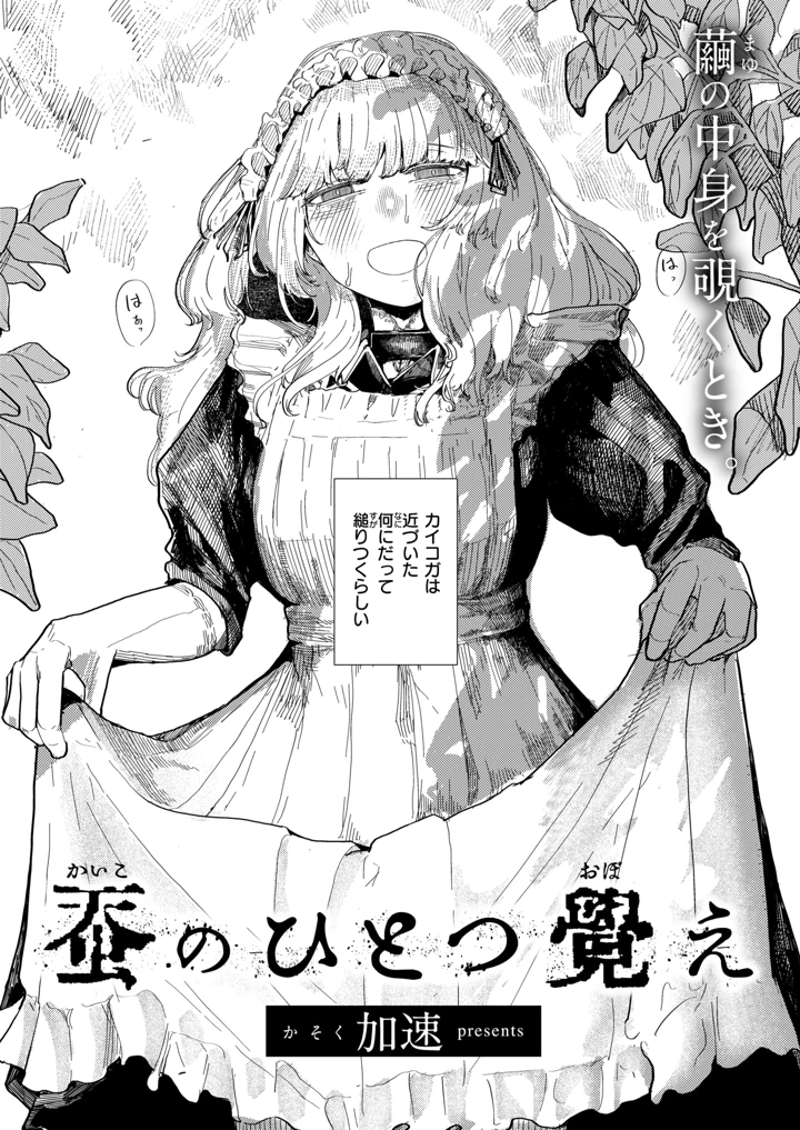 3ページ目