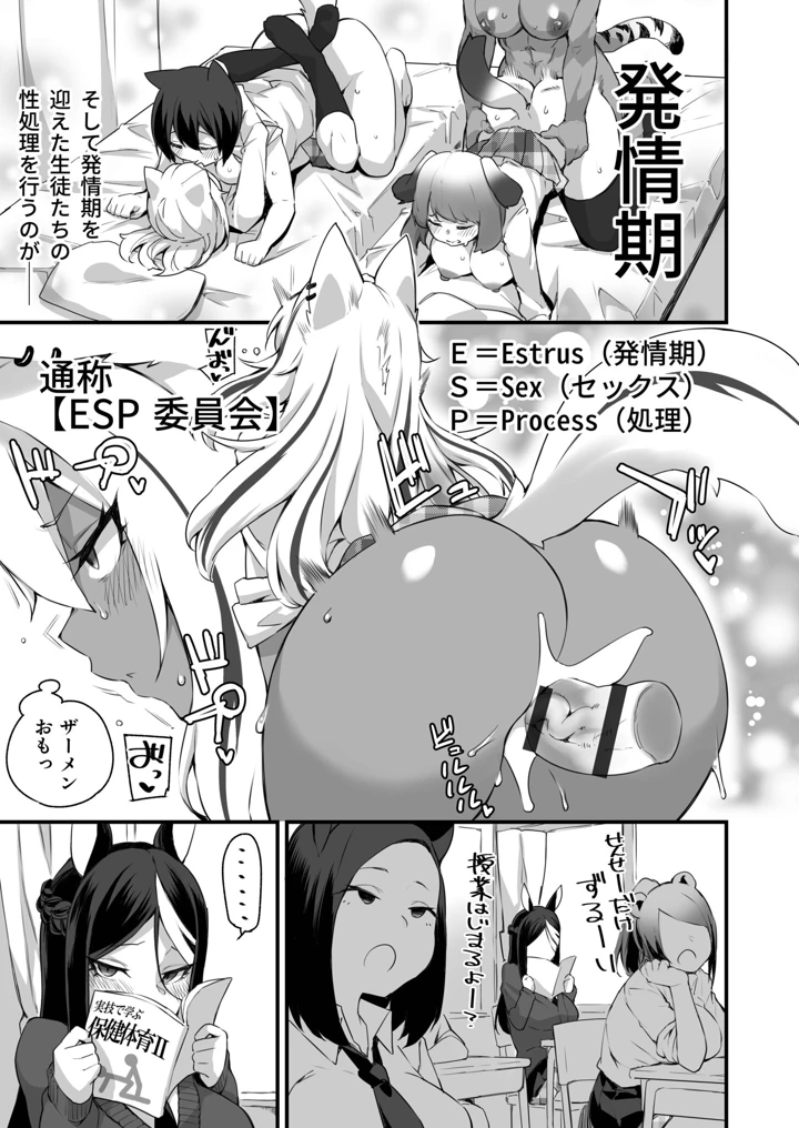 5ページ目