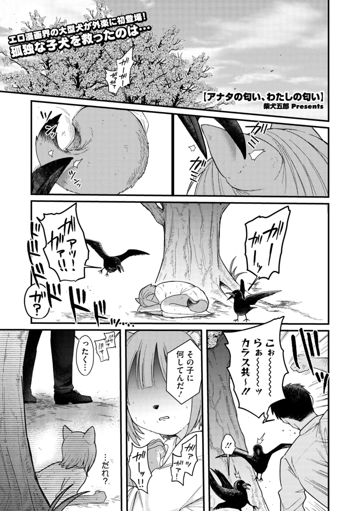 3ページ目
