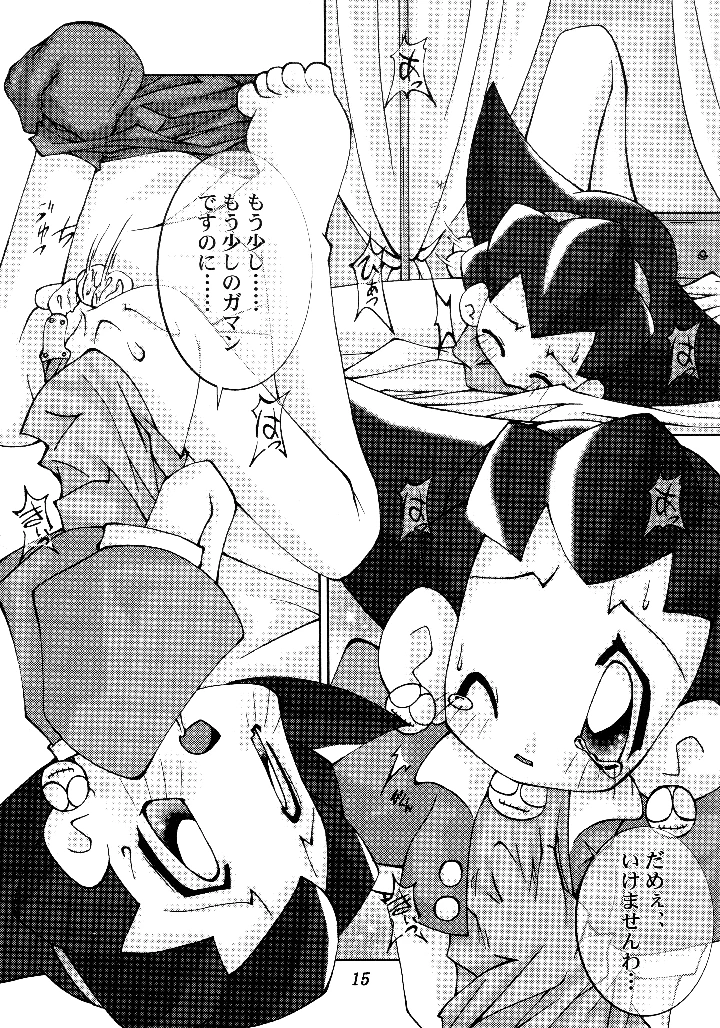 14ページ目