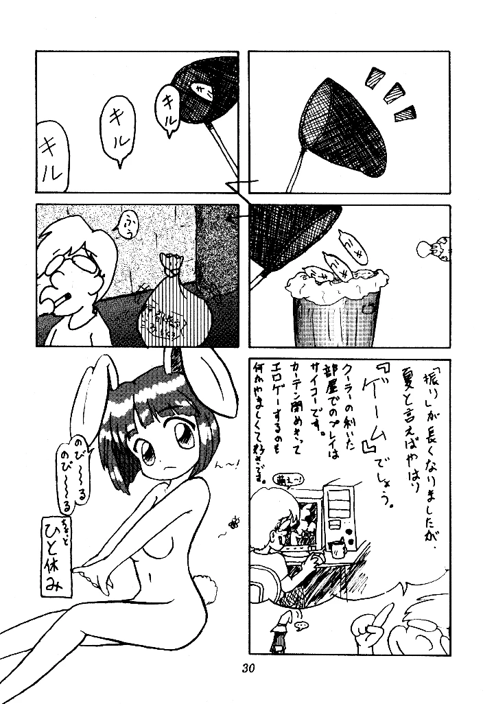 29ページ目