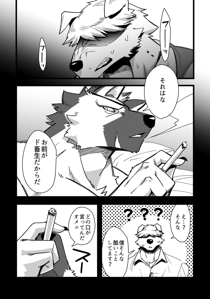 12ページ目