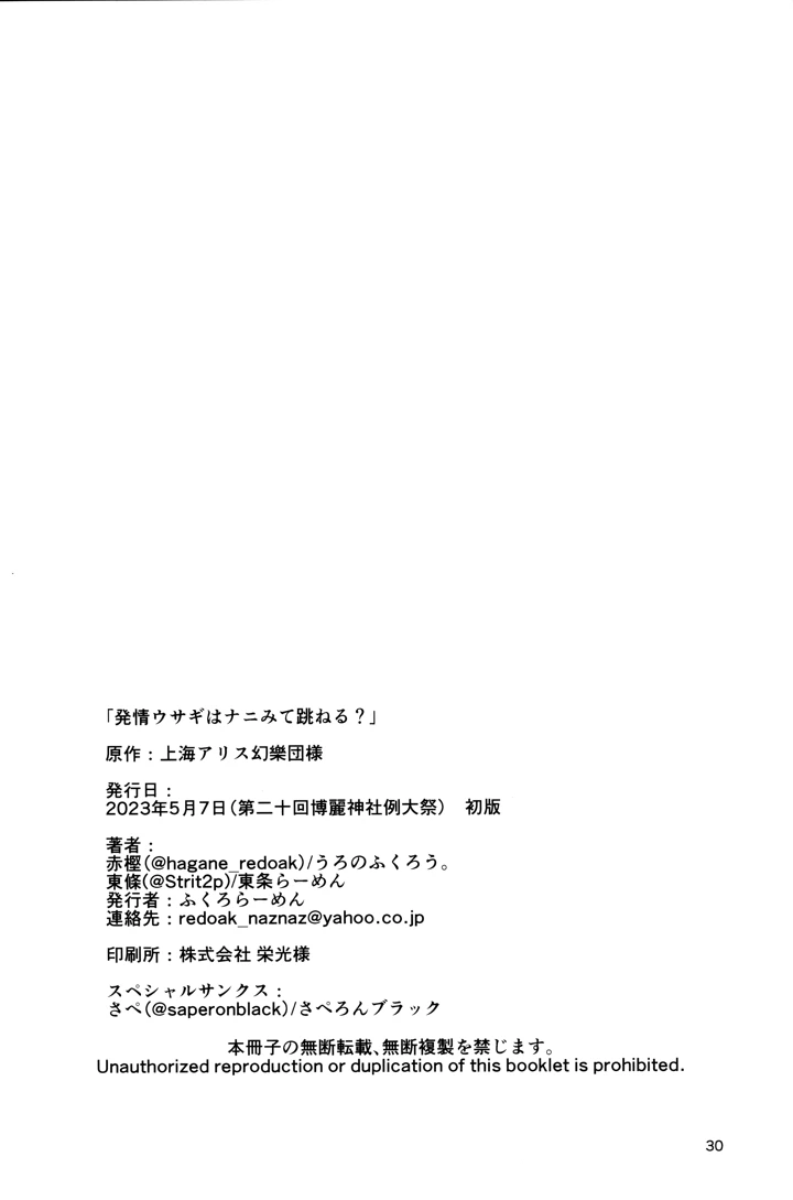 29ページ目