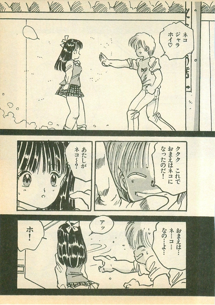 11ページ目