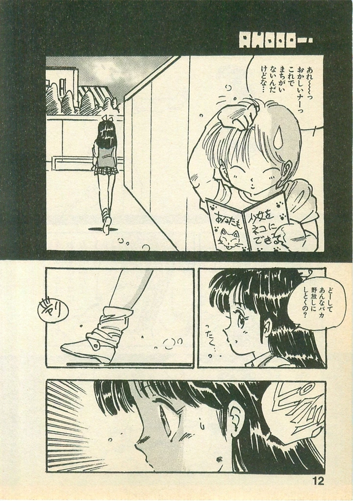12ページ目