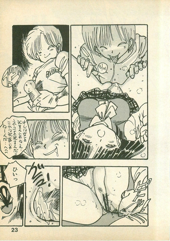 23ページ目