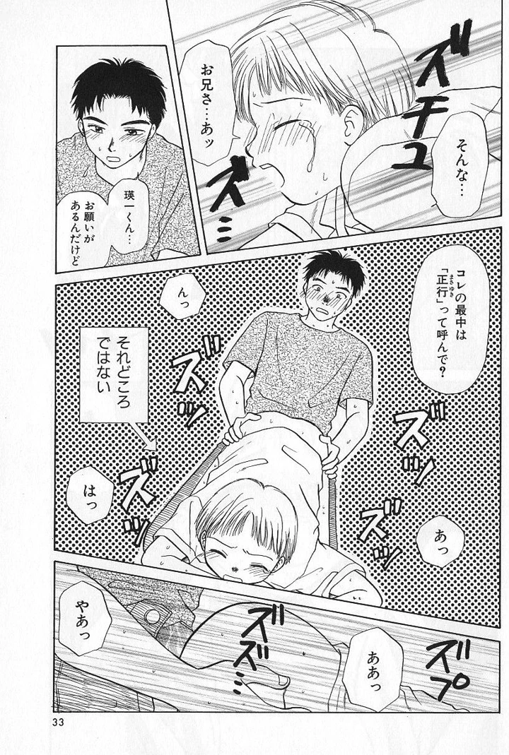 33ページ目